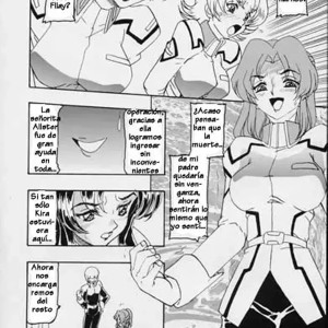 10_-_moon_shine_8_gundam_seed_spanish_rewrite_athrun_zala_-_010 - 10