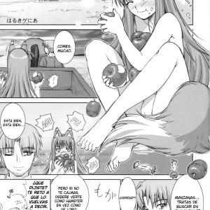 3_-_sc38_raijinkai_haruki_genia_wolf_road_spice_and_wolf_spanish_ala_alba_scanlations_-_003 - 3