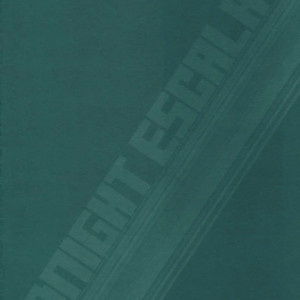 23_-_sc41_d.n.a.lab._arestica_ariko_youichi_miyasu_risa_midnight_escalator_persona_4_spanish_-_023 - 23