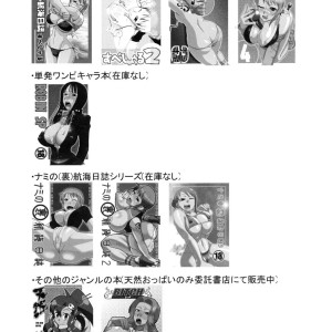 28_-_c73_acid-head_murata._nami_no_koukai_nisshi_ex_namirobi_one_piece_spanish_bloodhunter_-_028 - 28