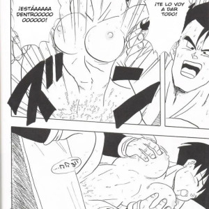 y-dbz-xxx-dragon-ball--22 - 22
